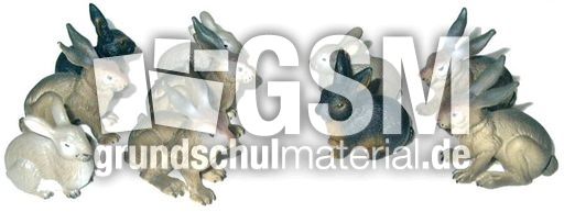 Hasen6+4.jpg